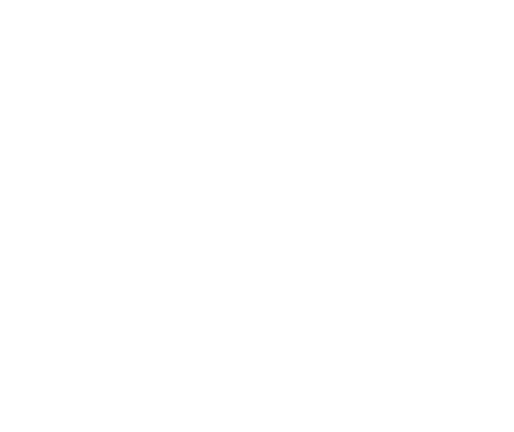 praxisberatung-holzer_logo1